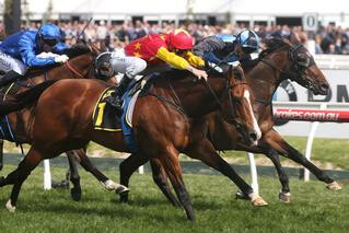 First Seal shone brightly at Caulfield.